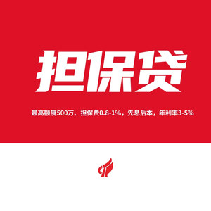 政策担保贷